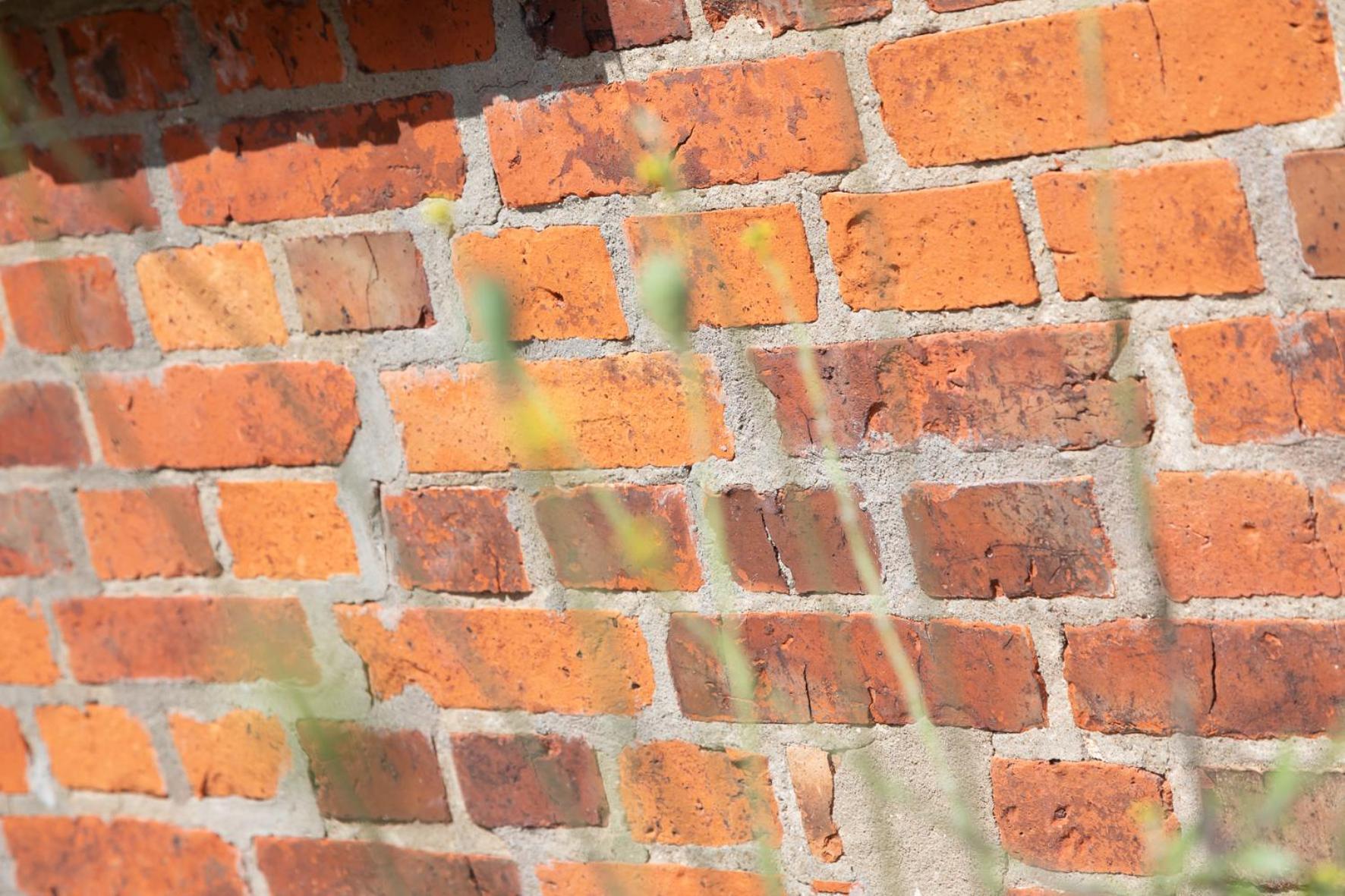 Wohnen Am Suedstrand - Ferienwohnung 1 1 Wyk auf Föhr Exterior foto